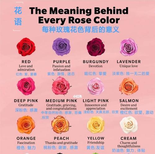 最热门的鲜花花语是什么？哪些鲜花最能表达情感？