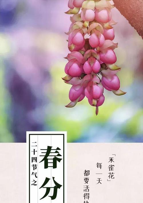 红玉兰花语代表什么含义？