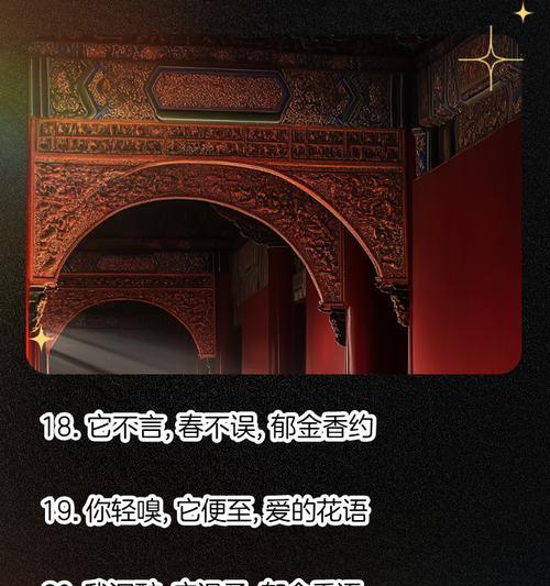 道具绝美的花语有何特别之处？绝美花语的含义是什么？