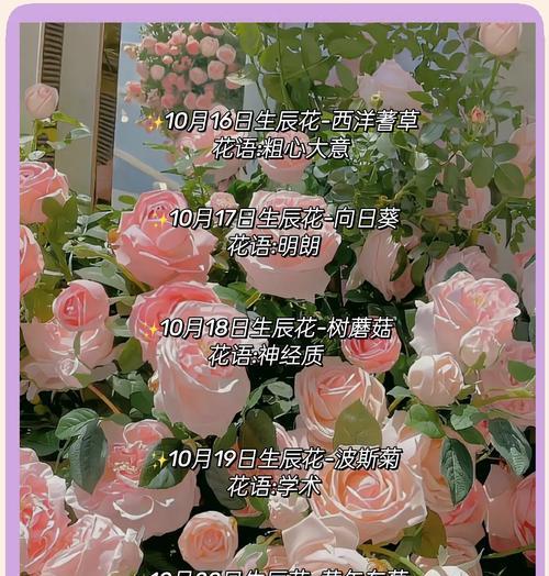 鲜花的花语有哪些不同含义？