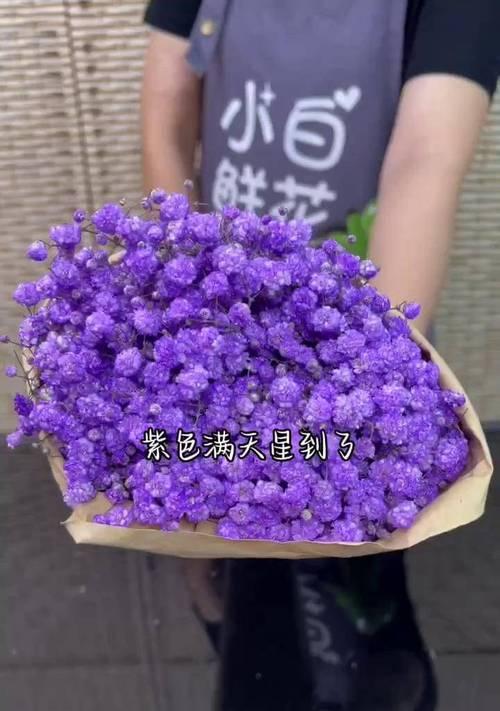 五朵满天星代表了什么花语？