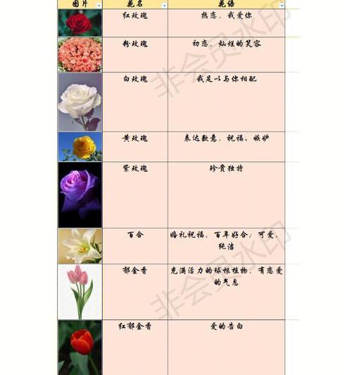 月季花的花名和花语有何含义？它在文化中象征了什么？