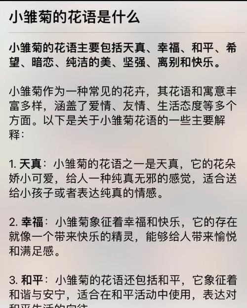 雏菊搭配其他花的花语是什么？如何选择合适的搭配？