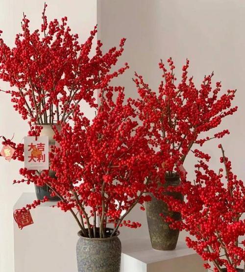 冬青是什么花语？冬青在花语中代表什么？