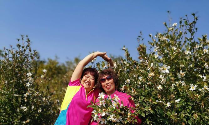 花语长征振兴基地有哪些有趣的活动？