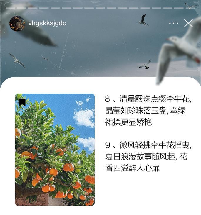 苏醒的花语代表了什么？