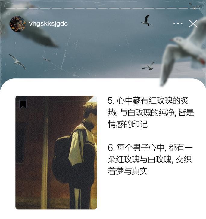 红玫瑰传递了怎样的情感？