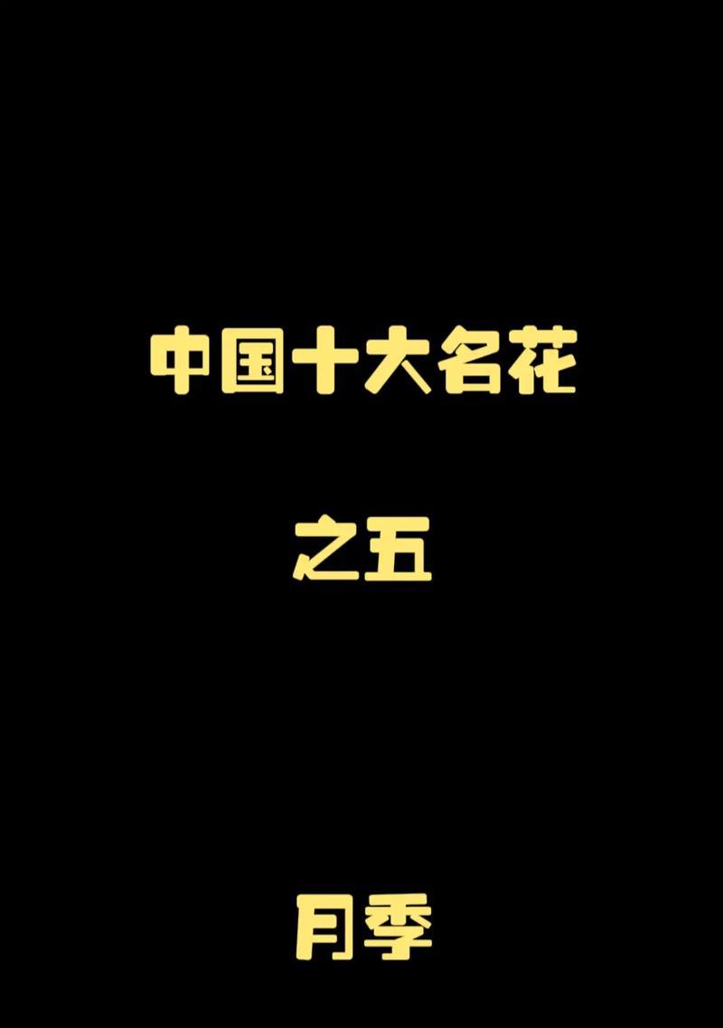 月季花语寓意着什么？