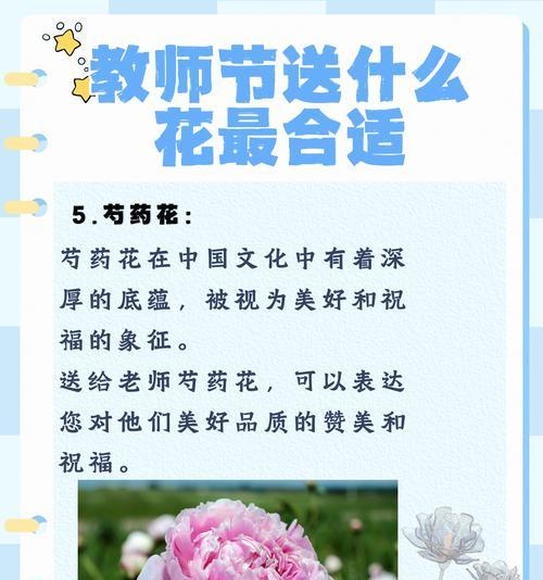 遇见你真好的花语代表什么？如何用花语表达感激之情？