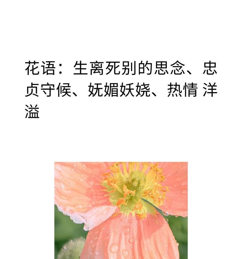 死亡之意的花语具体代表了什么？