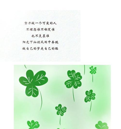 十六日这一天的花语有何深意？