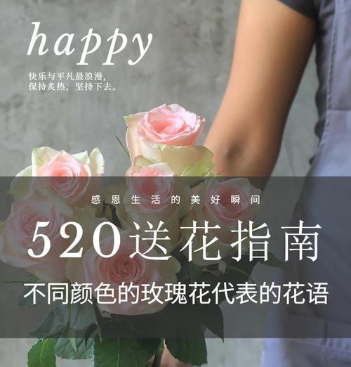 玫瑰花语有哪些不同的解释？