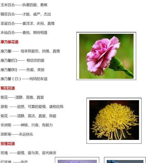 青花的花名是什么？它的花语和寓意是什么？