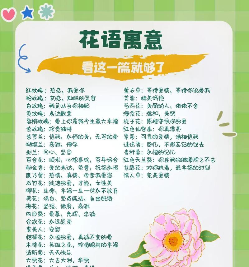青花的花名是什么？它的花语和寓意是什么？