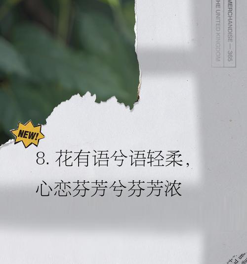 淡雅无香的花语通常表达什么？