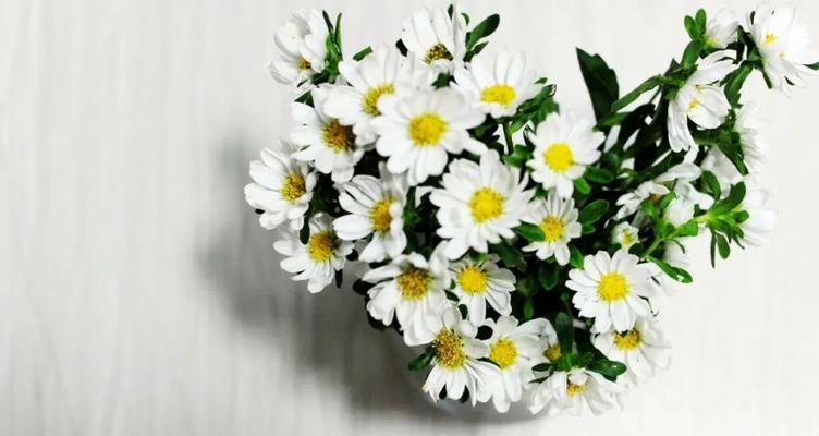 大骨头的花语是什么？大骨头花束在花语中代表了什么？