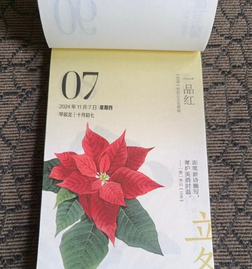 李白的花语有哪些？