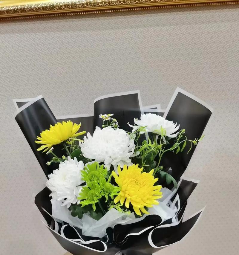 花语黄菊和白菊的区别是什么？黄菊和白菊的花语有何不同？