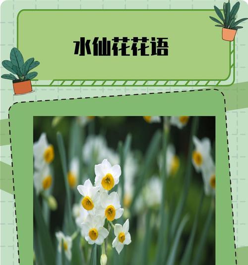 水仙花的花语有哪些含义？