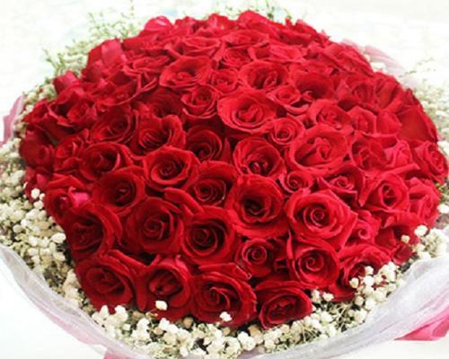 前男生送玫瑰花代表什么？玫瑰花的花语有哪些？