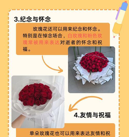 前男生送玫瑰花代表什么？玫瑰花的花语有哪些？