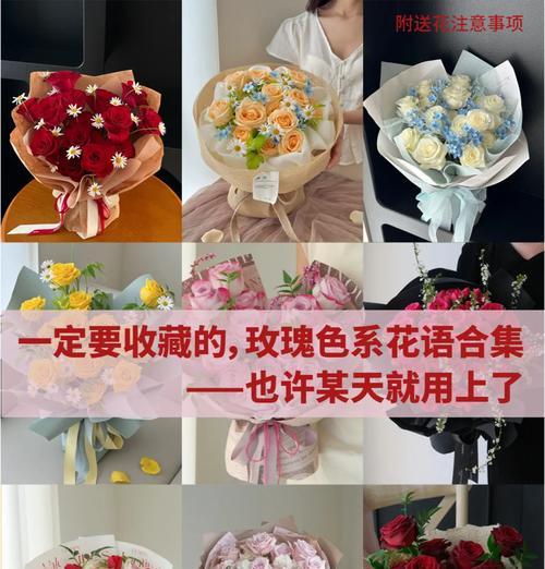 玫瑰花语代表了什么？