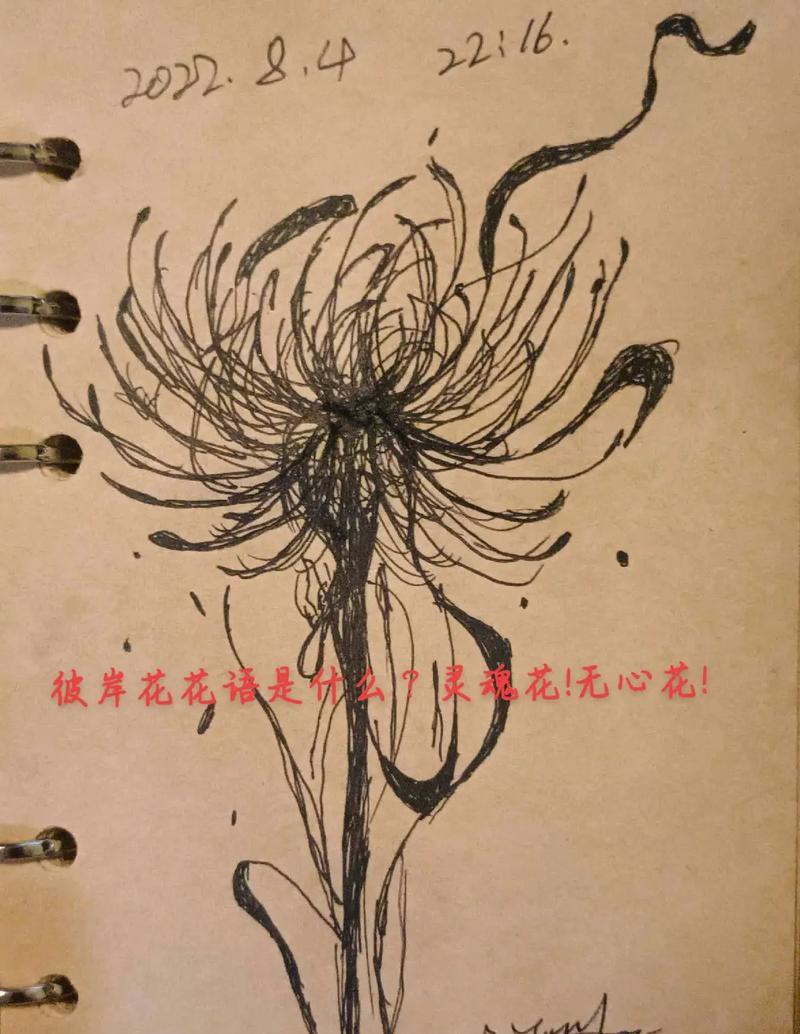 无心的花语是什么？花语中无心的含义是什么？