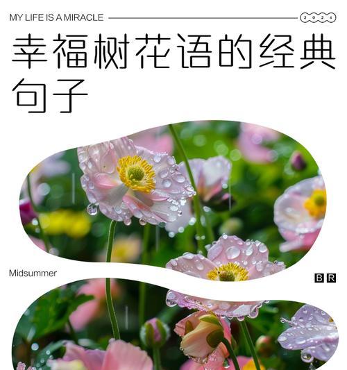 哪种树木的花语代表危险？