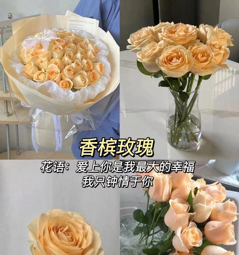七夕节送给老公的花语是什么？