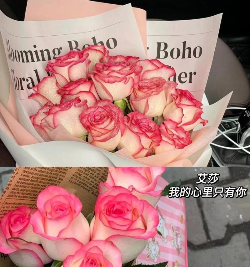 艾莎玫瑰送老师有何深意？它的花语是什么？