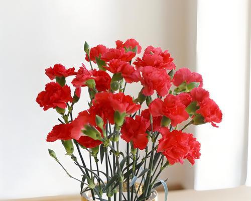 鲜花语通常表达什么情感？