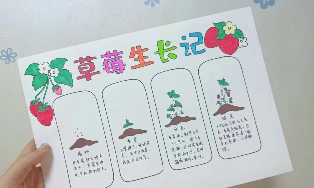 发芽仙人掌移栽技巧有哪些？如何保证成活率？