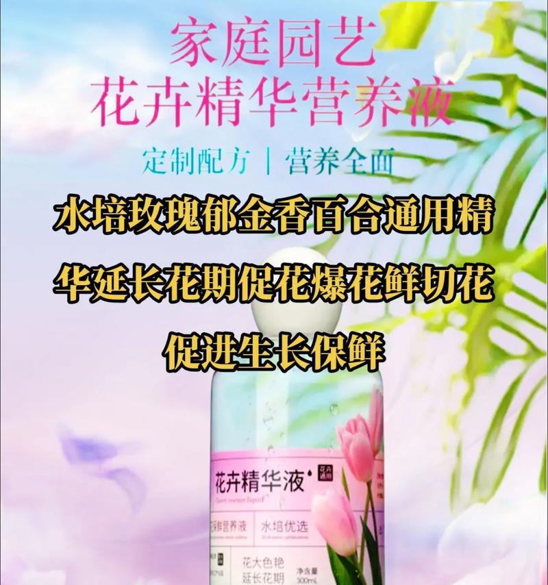 玫瑰花水培基地养殖技巧有哪些？