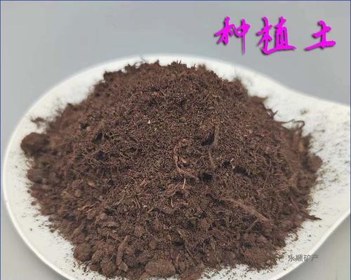 君子兰栽培用什么土最好？选择标准是什么？