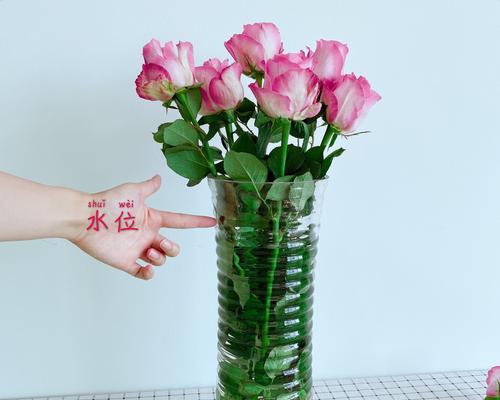 玫瑰花杆剪短的正确方法是什么？怎样剪出美观的形状？