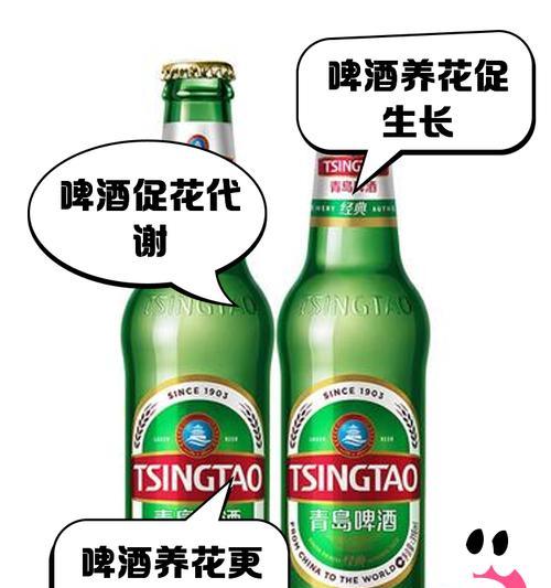 给君子兰喷洒啤酒好吗？如果好应该怎么浇？