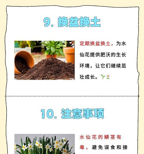 仙人球浇水的正确方法是什么？如何避免过度浇水？