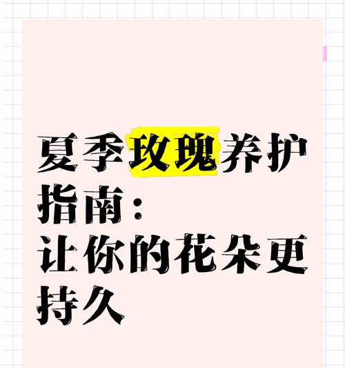 骄傲玫瑰花的寿命有多长？如何延长其花期？