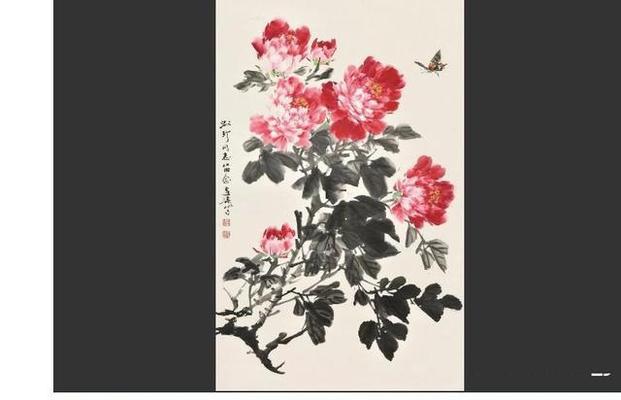 如何成功养活王大哥牡丹花？