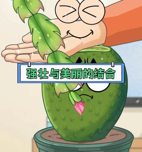 学习嫁接仙人球花的正确方法是什么？