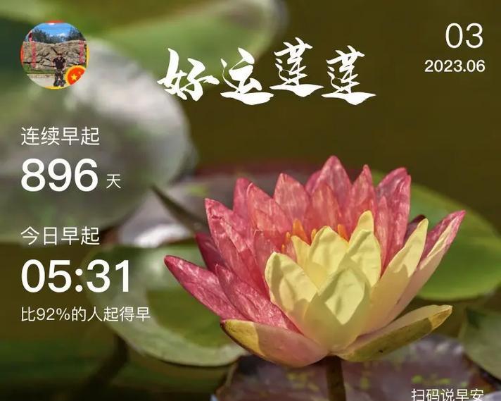 河滩种玫瑰花的种植方法是什么？如何保证其健康生长？