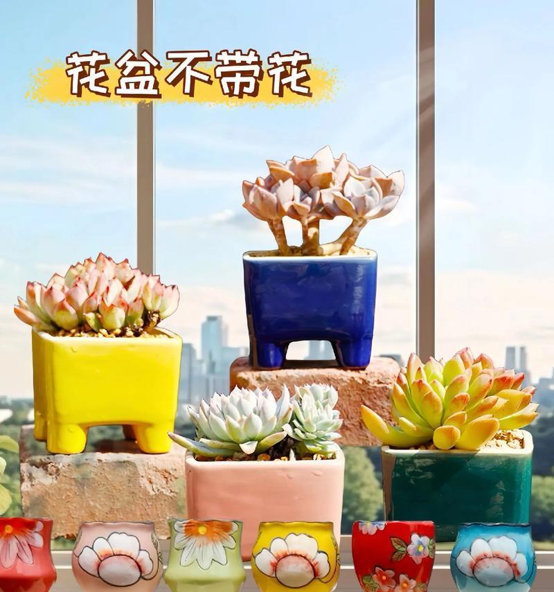 陶瓷栽牡丹花的专用盆是什么？如何选择合适的花盆？