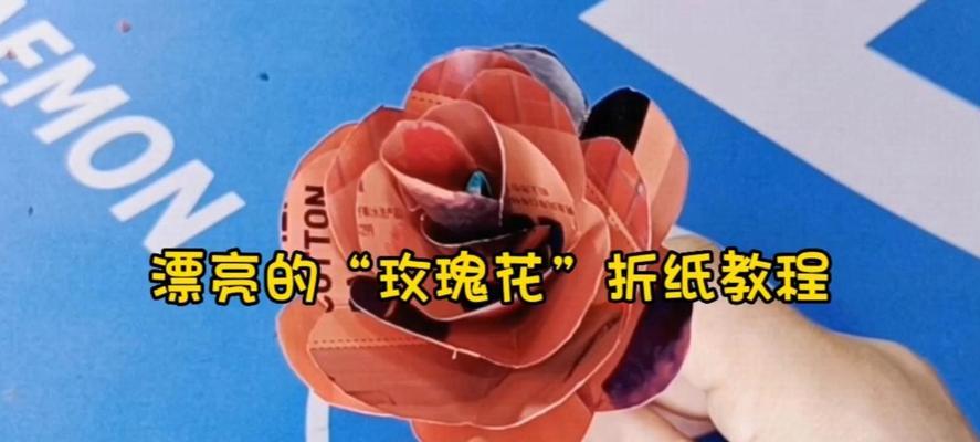 折枝玫瑰花的种植步骤和注意事项有哪些？