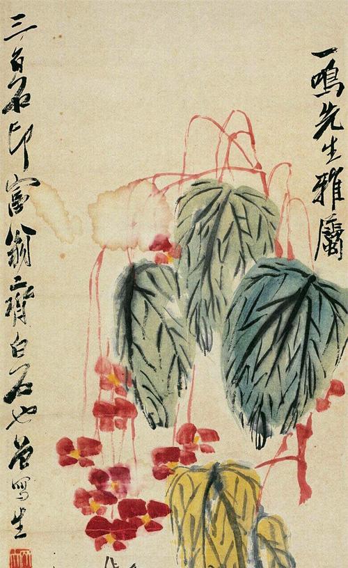 齐白石是如何养殖君子兰的？有哪些特别的技巧？