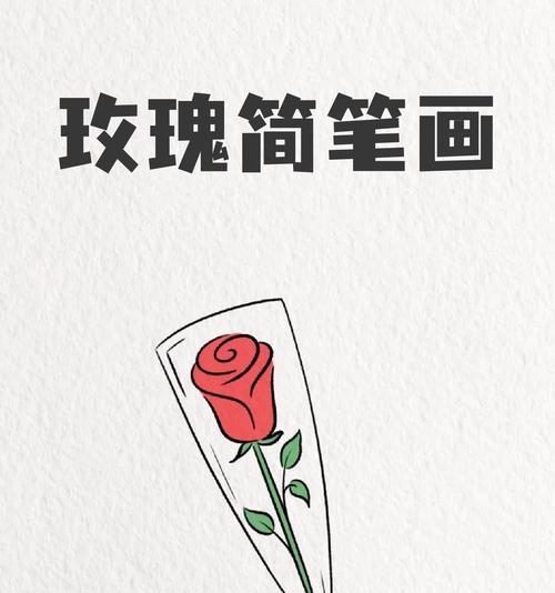 大串玫瑰花的养护要点是什么？怎样保持花朵新鲜？