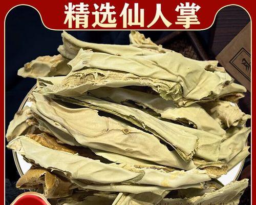 仙人掌细刺的养护技巧有哪些？