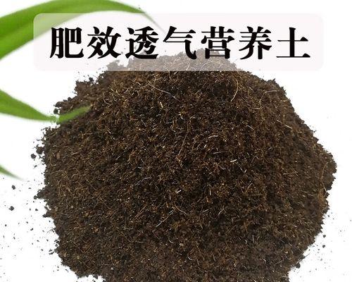 君子兰使用花土的正确方法是什么？