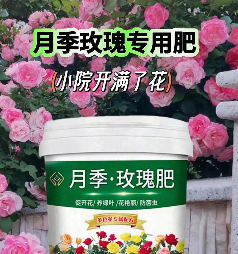 玫瑰花需要多久施肥一次？施肥的正确频率和方法是什么？