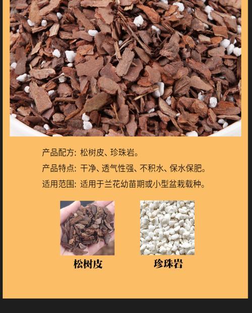 用珍珠岩给君子兰育苗的方法是什么？