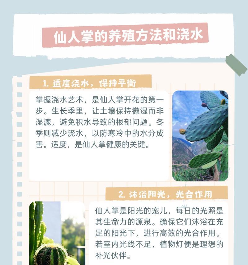 仙人掌过冬后浇水的正确方法是什么？